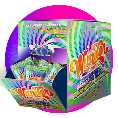 wellness gummies